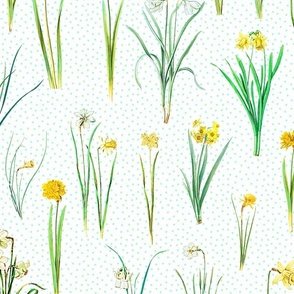 Daffodils and mint polka dots on white ground 