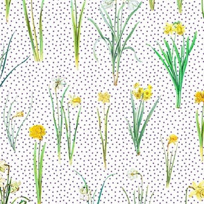 Daffodils and purple polka dots on white ground 