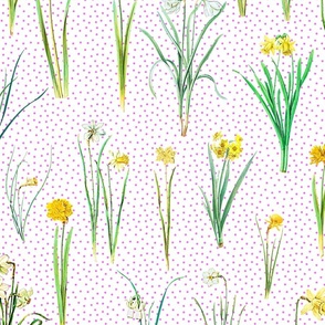 Daffodils and pink polka dots on white ground 