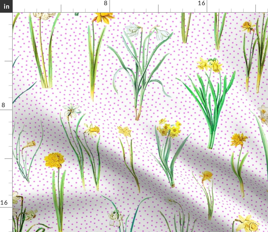 Daffodils and pink polka dots on white ground 