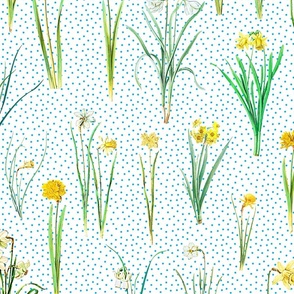 Daffodils and sky blue polka dots on white ground 
