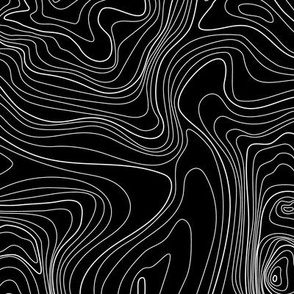 contours RR (large, B&Wneg)