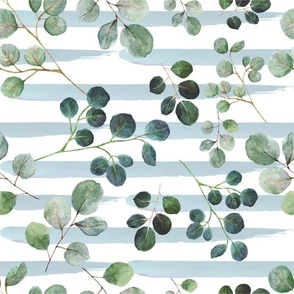 Watercolor Eucalyptus Leaves 