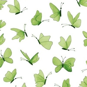 watercolor butterflies - green on white - ELH