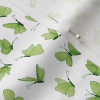 small watercolor butterflies - green on white - ELH