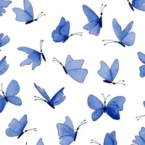 watercolor butterflies - royal blue on white - ELH