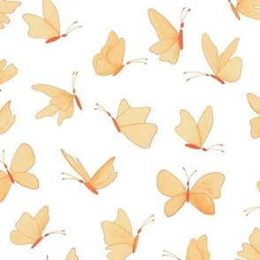 watercolor butterflies - creamsicle  on white - ELH