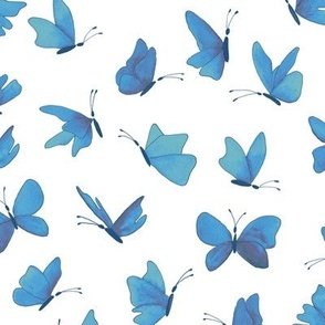 watercolor butterflies - chalk blues on white - ELH