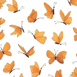 watercolor butterflies - saffron and orange on white - ELH