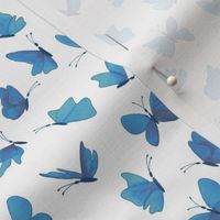small watercolor butterflies - chalk blues on white  - ELH