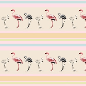 Flamingo Border