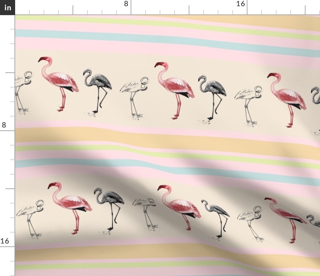 Flamingo Border