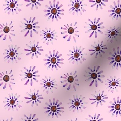 Little Purple Daisies // Blush