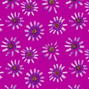 Little Purple Daisies // Fuchsia