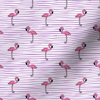 flamingo on stripes // purple C22