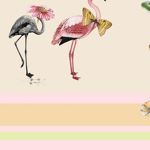 fancy flamingos