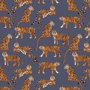 Natisha tiger tiger - dusty denim