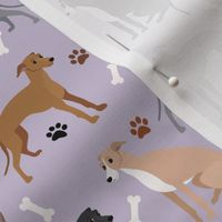 Italian Greyhound Paws and Bones Purple