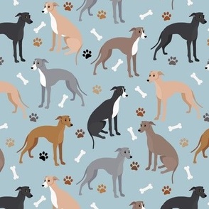 Italian Greyhound Paws and Bones Blue