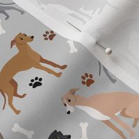 Italian Greyhound Paws and Bones Gray