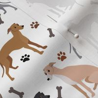 Italian Greyhound Paws and Bones