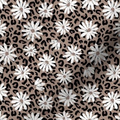 Medium  Scale - Choco Leopard Daisy