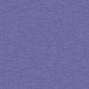 Periwinkle Textured #6667AB 
