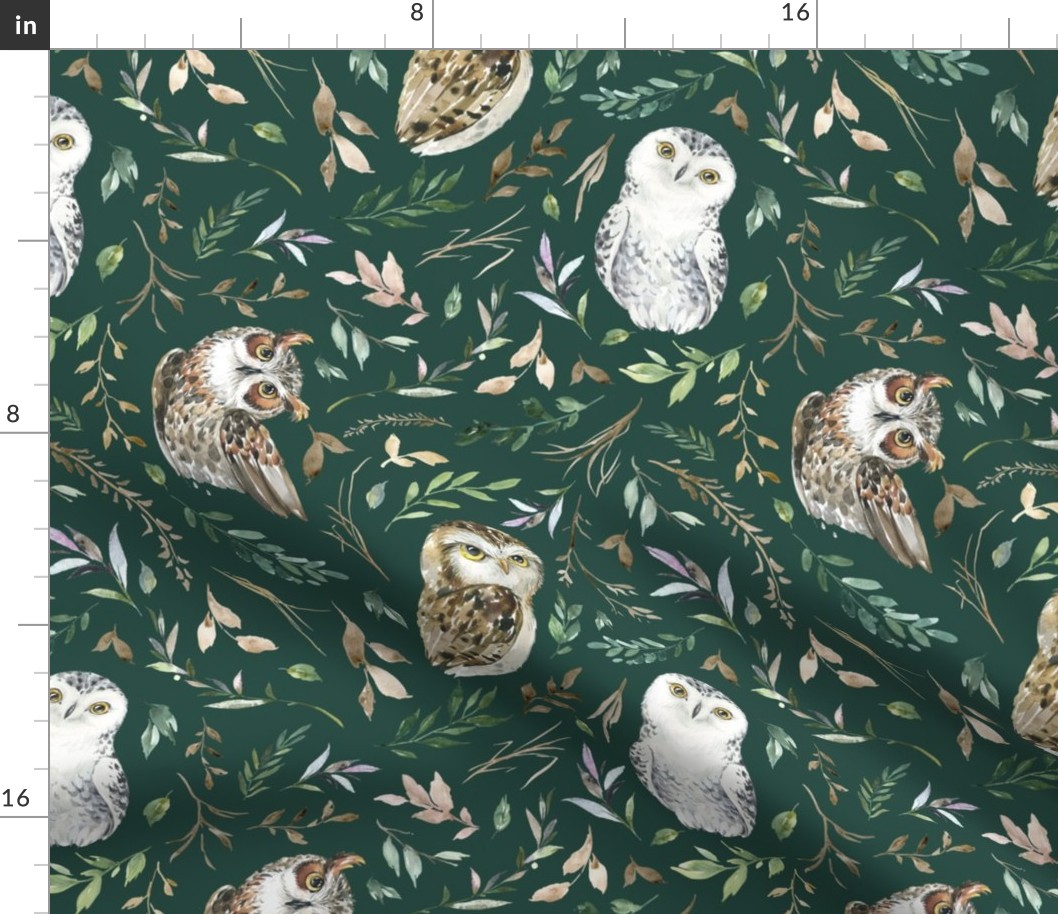 owl green