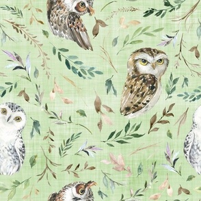 owl green linen