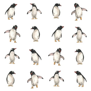 Medium - Penguin Buddies in Rows