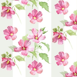 Pink mallow flowers on sage green and white stripes