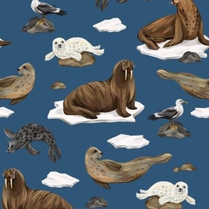 Seals and walruses (blue)