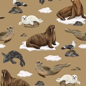 Seals and walruses (beige)