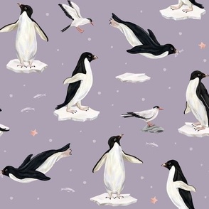 Adelie penguins (purple)