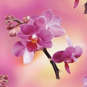 pink orchid - large