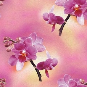 pink orchid - medium