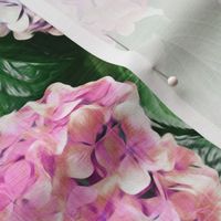 Radiant Hydrangeas in Pink, Purple and Green