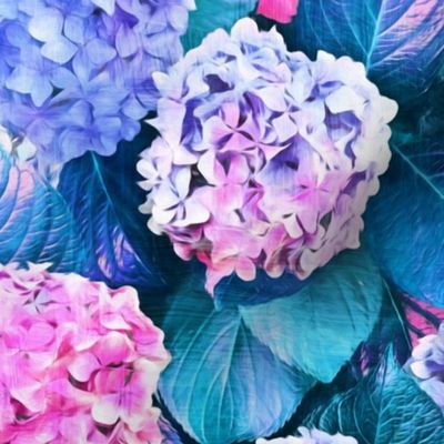 Radiant Hydrangeas in Pink, Purple and Turquoise Blue