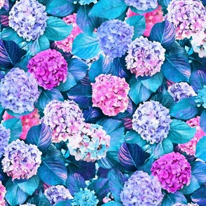 Radiant Hydrangeas in Pink, Purple and Turquoise Blue