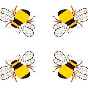 Bumble Bee Square Dance