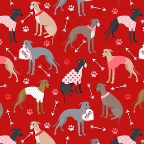 Valentine Italian Greyhound Dogs Red