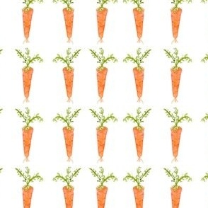 Watercolor Carrots