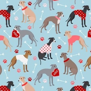 Valentine Italian Greyhound Dogs Blue