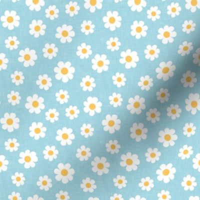 daisy - blue - spring flowers - LAD22