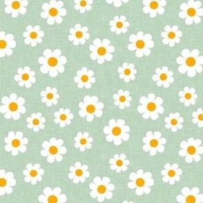 daisy - green - spring flowers - LAD22
