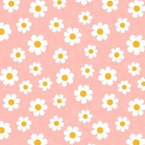 daisy - pink - spring flowers - LAD22