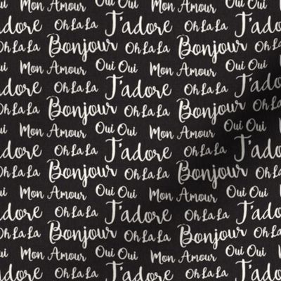 Oh La La Paris - French Text Black Ivory Small Scale