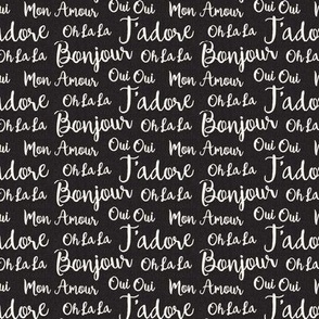 Oh La La Paris - French Text Black Ivory Small Scale