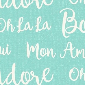 Oh La La Paris - French Text Aqua Ivory Large Scale