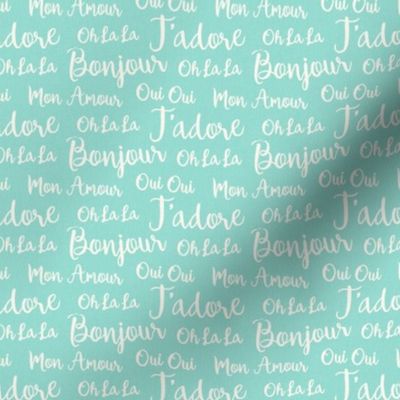 Oh La La Paris - French Text Aqua Ivory Small Scale